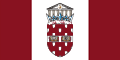 University of Ottawa Flag